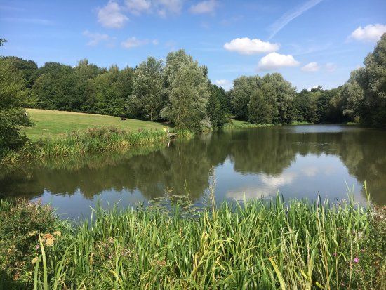 Highwoods Country Park